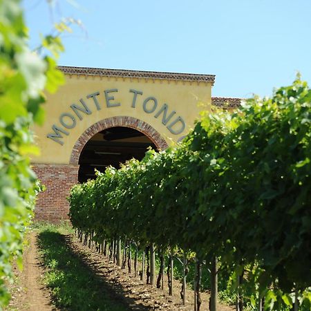 Monte Tondo Winery Vendégház Soave  Kültér fotó