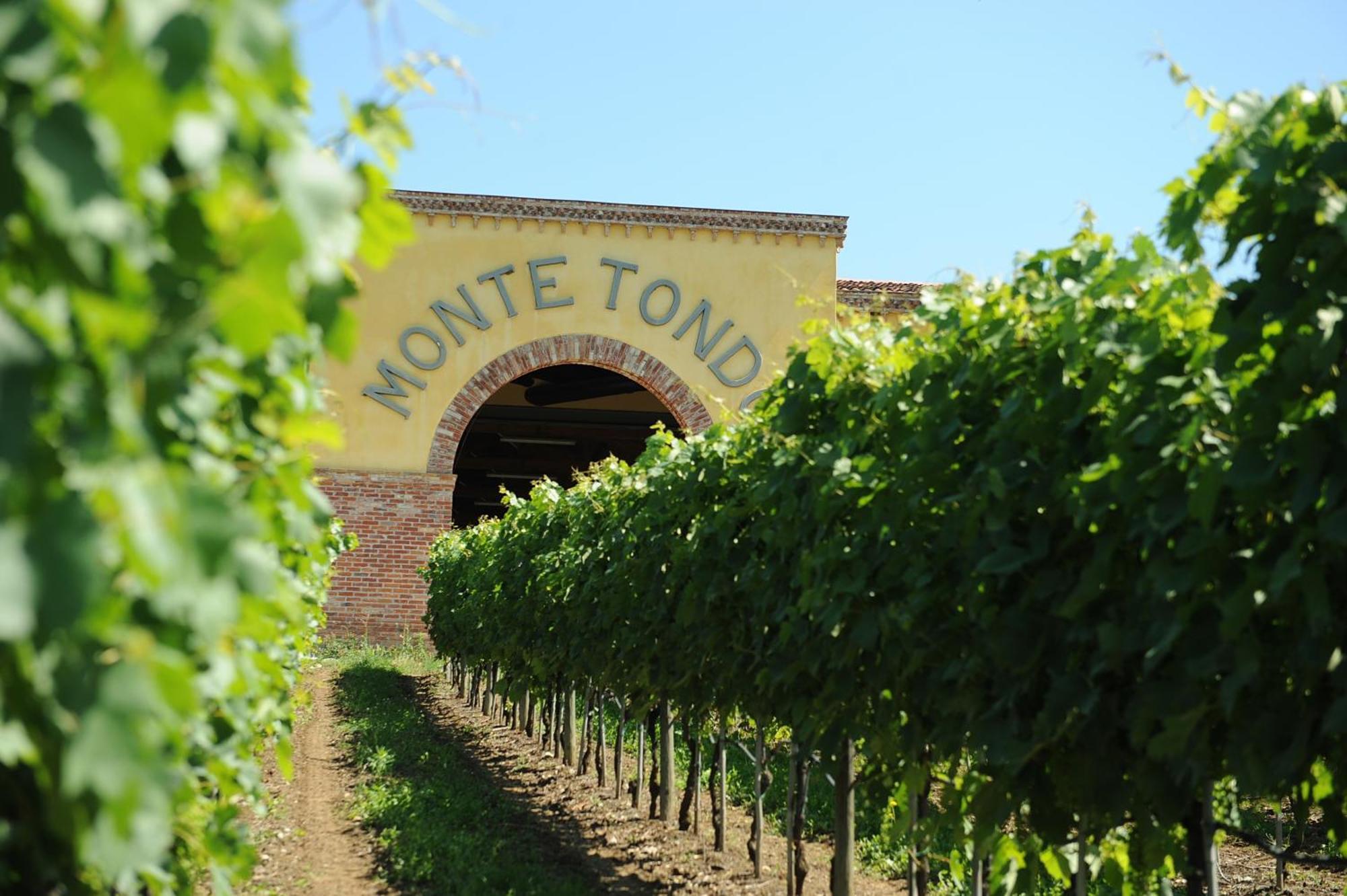 Monte Tondo Winery Vendégház Soave  Kültér fotó